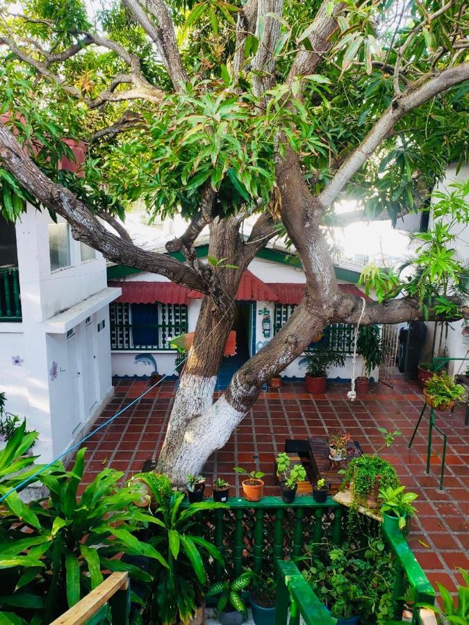 Tita'S Airport Hotel Cartagena Eksteriør bilde
